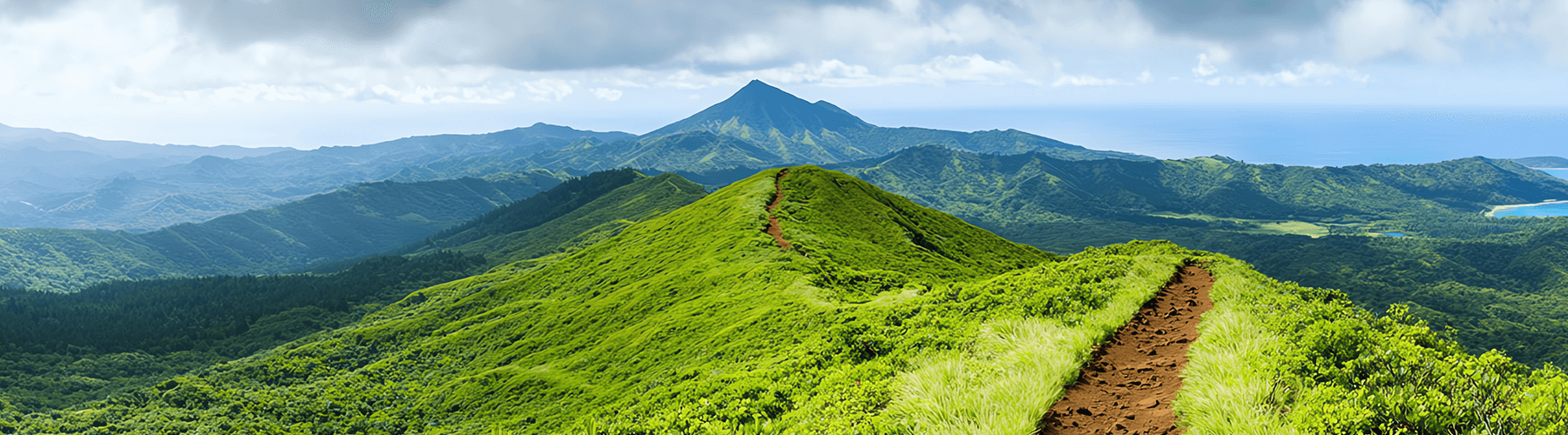 Ein Wanderweg mit weiter Aussicht. Wird als Slider für Motto des Jahres verwendet